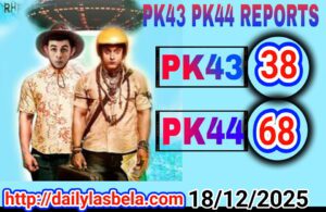 1766080792 picsay