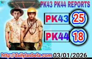 1767463045 picsay