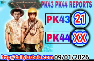 1767971431 picsay