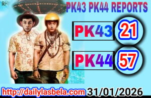 1769882465 picsay