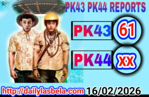 1 1771254163 picsay